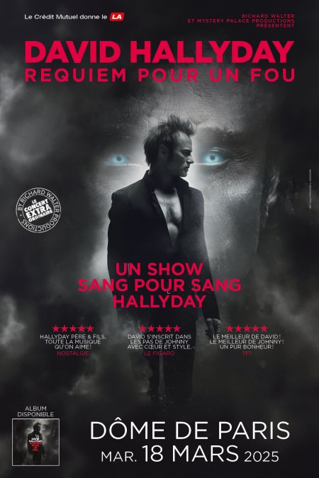 IMG_0526 Concert de David Hallyday « Requiem pour un fou » au Dôme de Paris.